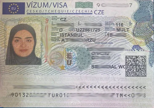 Visa-10