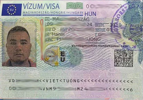 Visa-12